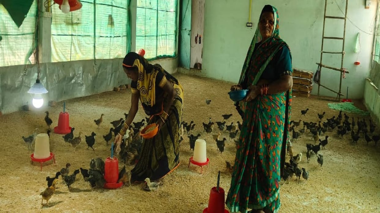 Women group is building their future dreams by rearing chickens and quail in chhattisgarh