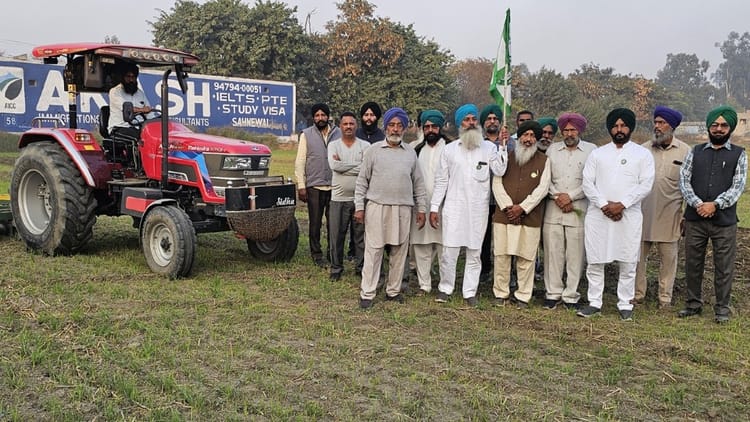 Fungus And Grub Disease In Newly Sown Wheat Farmers Many Acres Of Crop Destroyed In Machhiwada Sahid Ludhiana – Amar Ujala Hindi News Live