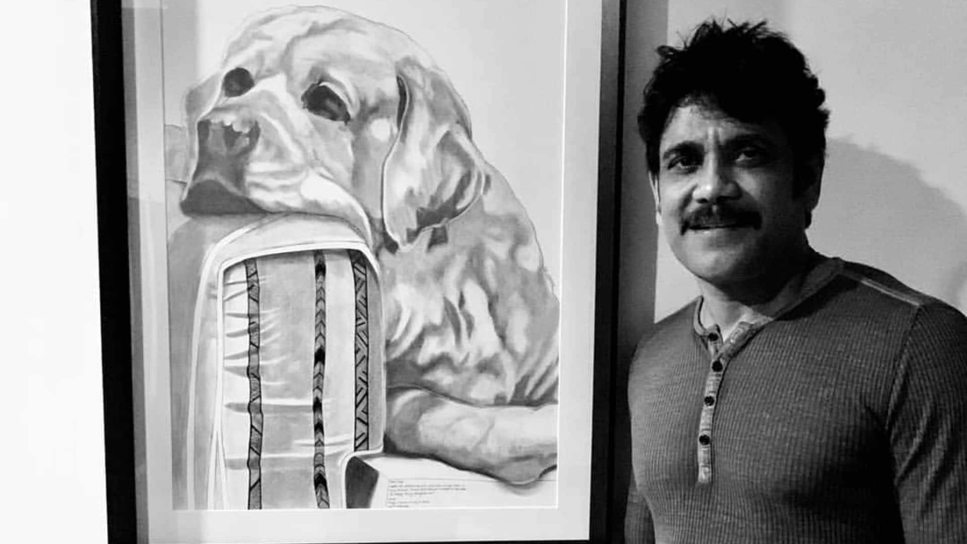 Nagarjuna opened on shiva movie says maybe ram gopal varma was a great salesman