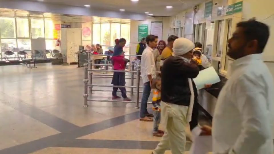 Six chikungunya patients and 291 dengue patients in Panipat
