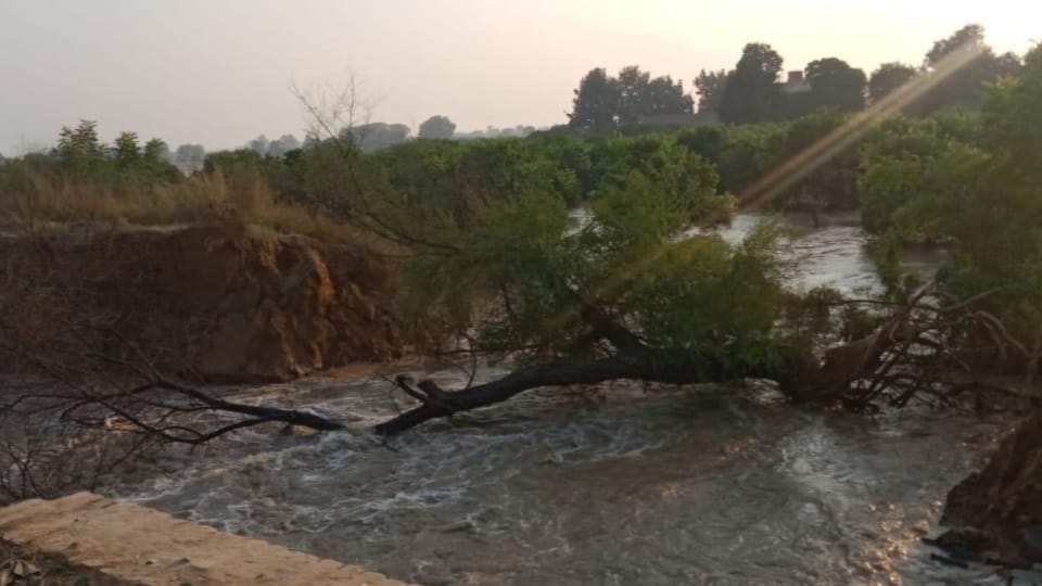 Heavy erosion in two canals in Balluana, hundreds of acres of land in two villages submerged