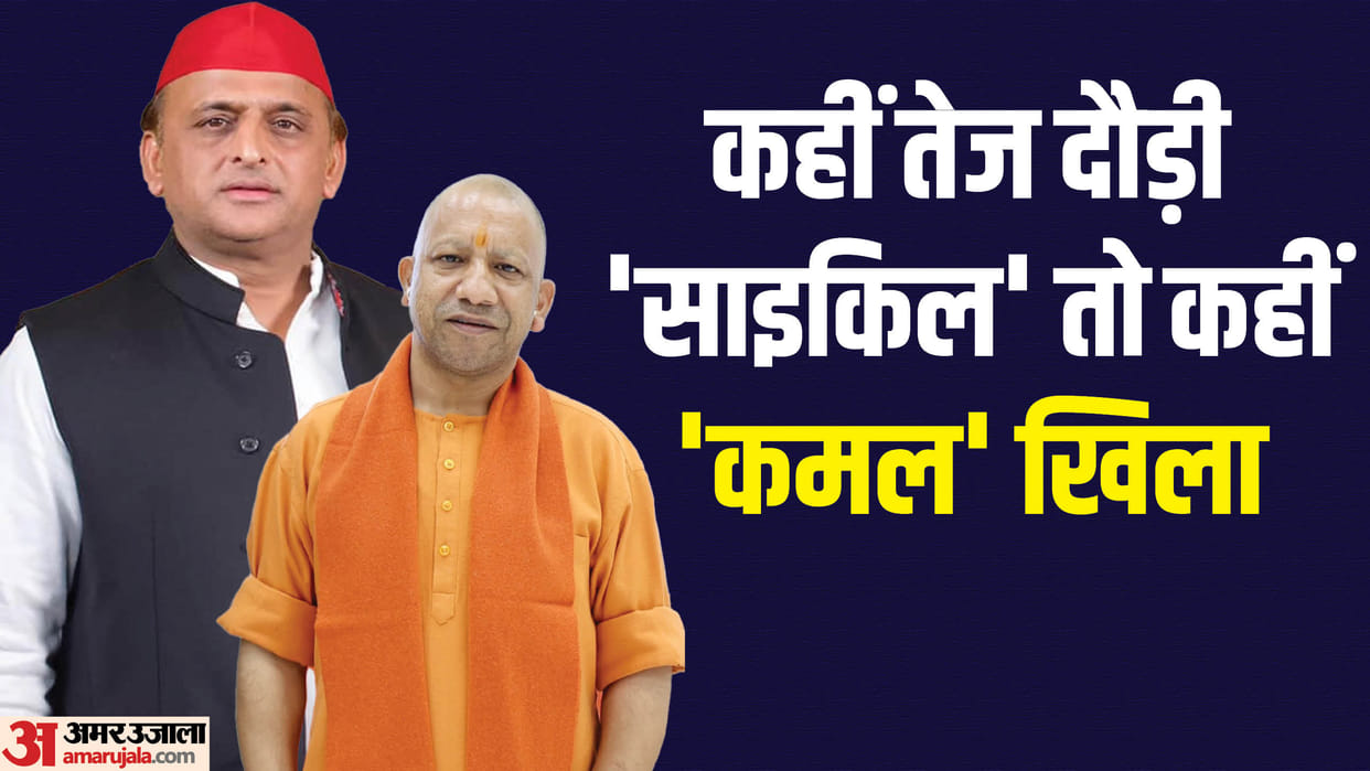 UP Phulpur Assembly by Election Result Mustafa Siddiqui  BJP Vs SP  News in Hindi