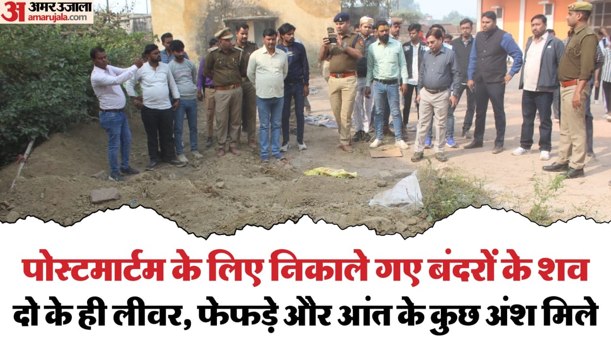 145 monkeys buried in a 15 feet deep pit in Hathras FCI godown several sacks of salt put on top of them