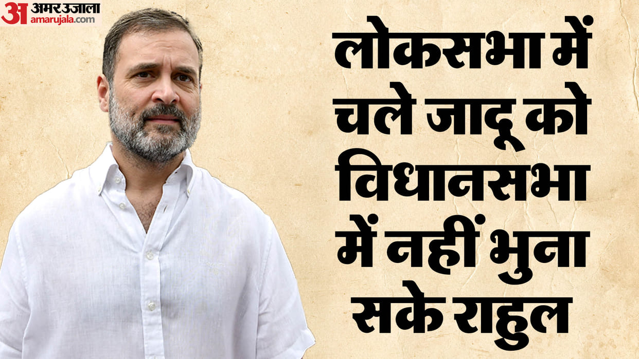 Has edge of Rahul Gandhi's issues like caste census reservation and constitution become blunt