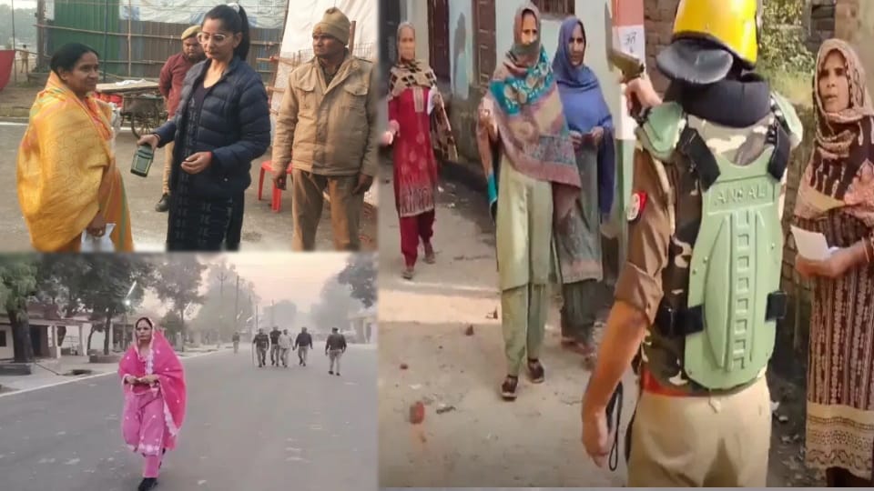 Meerapur Election Result: Counting of votes continues, RLD caught speed, SP moving slowly, latest update
