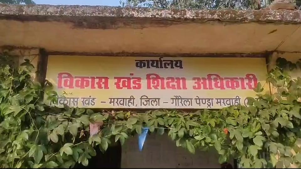 21 teachers of 12 schools found absent BEO issued show cause notice in Gaurela Pendra Marwahi