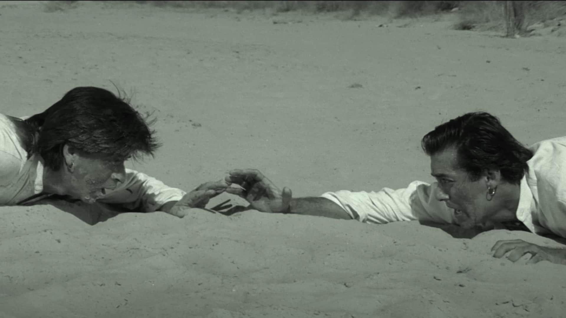 Salman Khan to Star in Atlee Film on Reincarnation Concept Watch These Iconic Films on the Same Theme