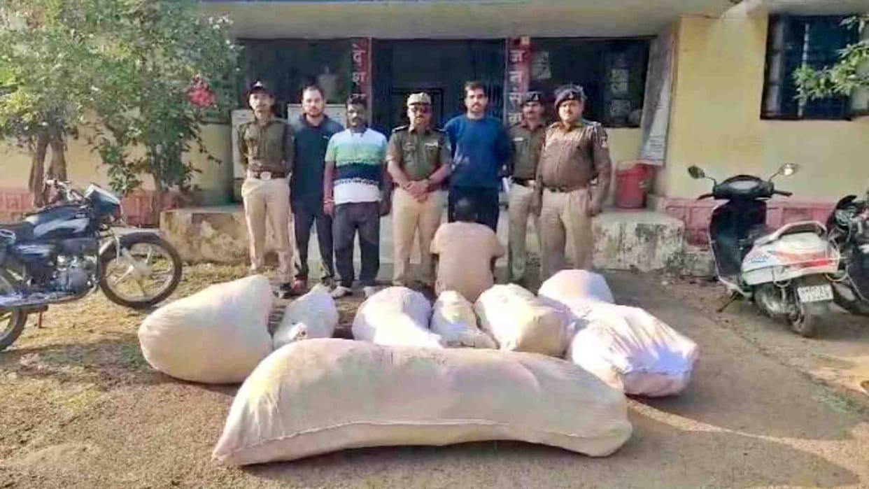 Sagar News: Ganja worth more than three lakhs seized in police action