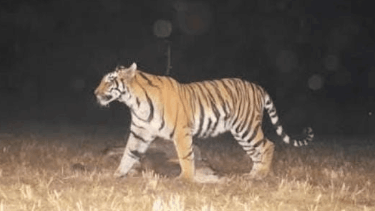 सांकेतिक तस्वीर