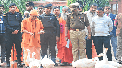 CM Yogi heard problems of people in janta darshan In Gorakhpur