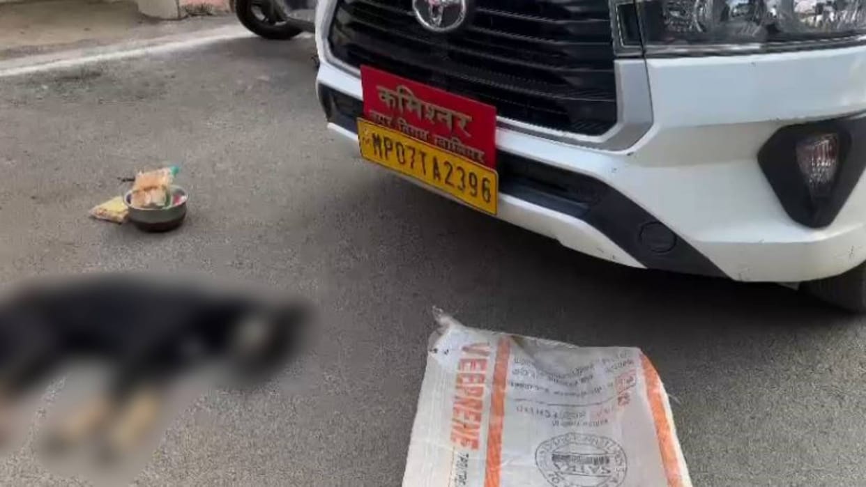 MP News Ruckus in Gwalior over sterilization of dogs dog dead body thrown in front of commissioner car