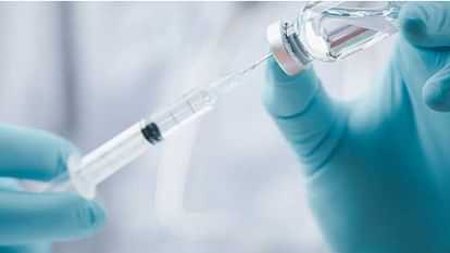 Himachal Three samples of rabies vaccine failed in CDL Kasauli