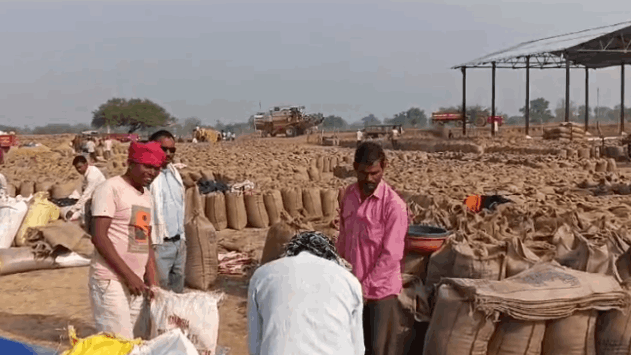 धान खरीदी केंद्रों में धान की खरीदी