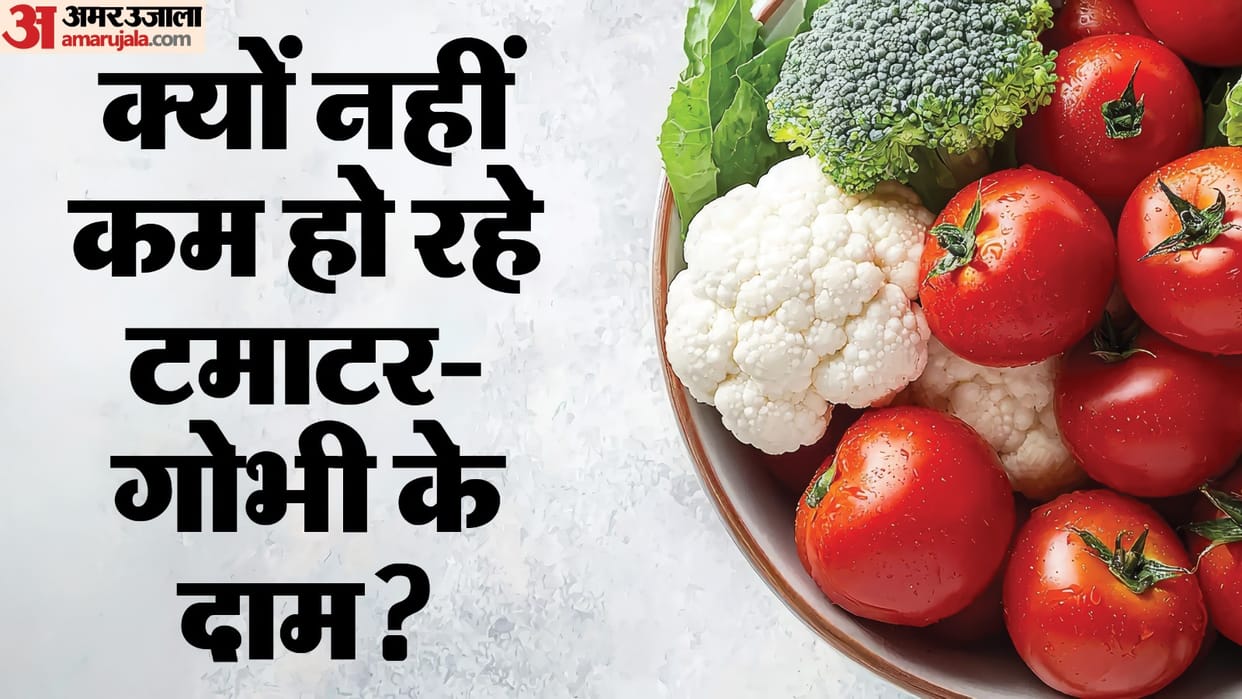 vegetable inflation why tomato cauliflower price still high reason explained