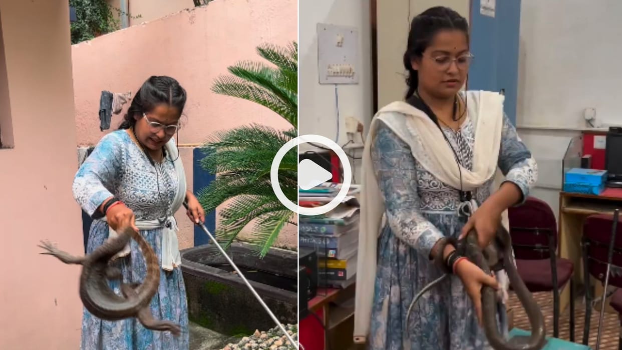 ajita pandey bilaspur chhattisgarh catches venomous snake cobra very easily news in hindi