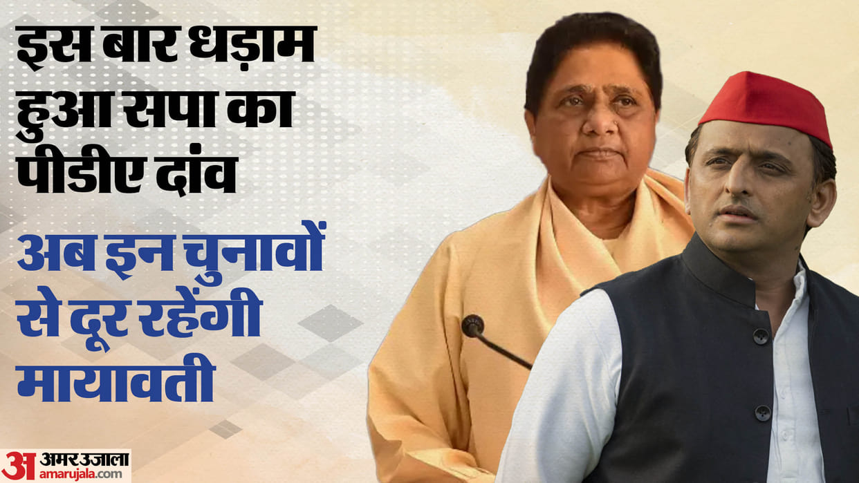 UP: SP's PDA strategy did not work in by-elections, voter pattern changed; Mayawati abstained from such electi