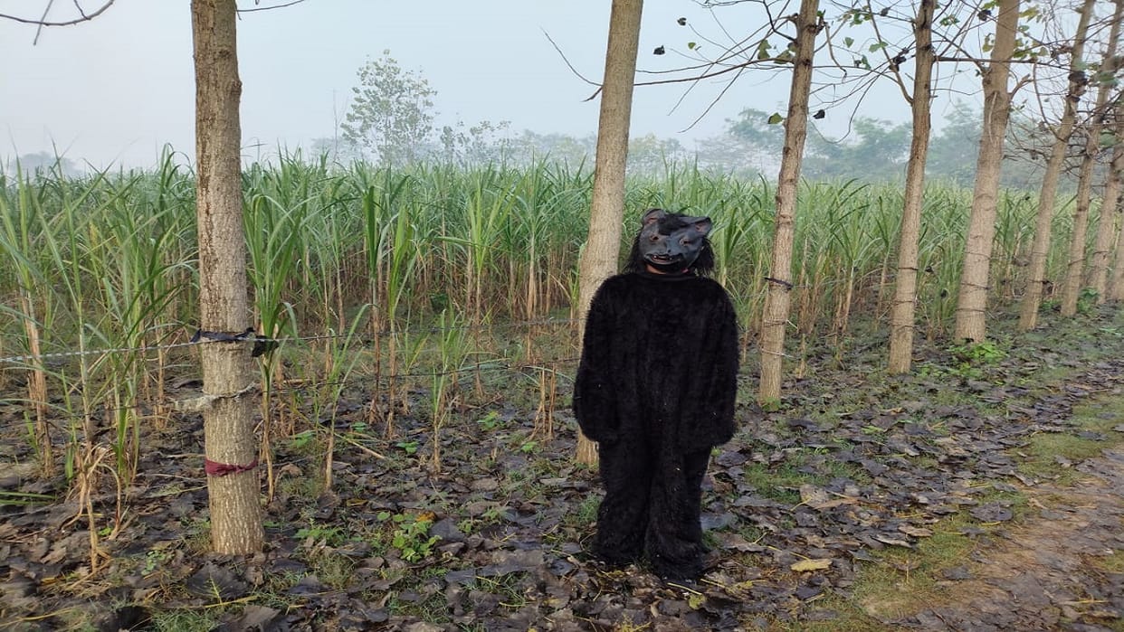 farmers wear bear costumes to save crops from monkeys in lakhimpur kheri