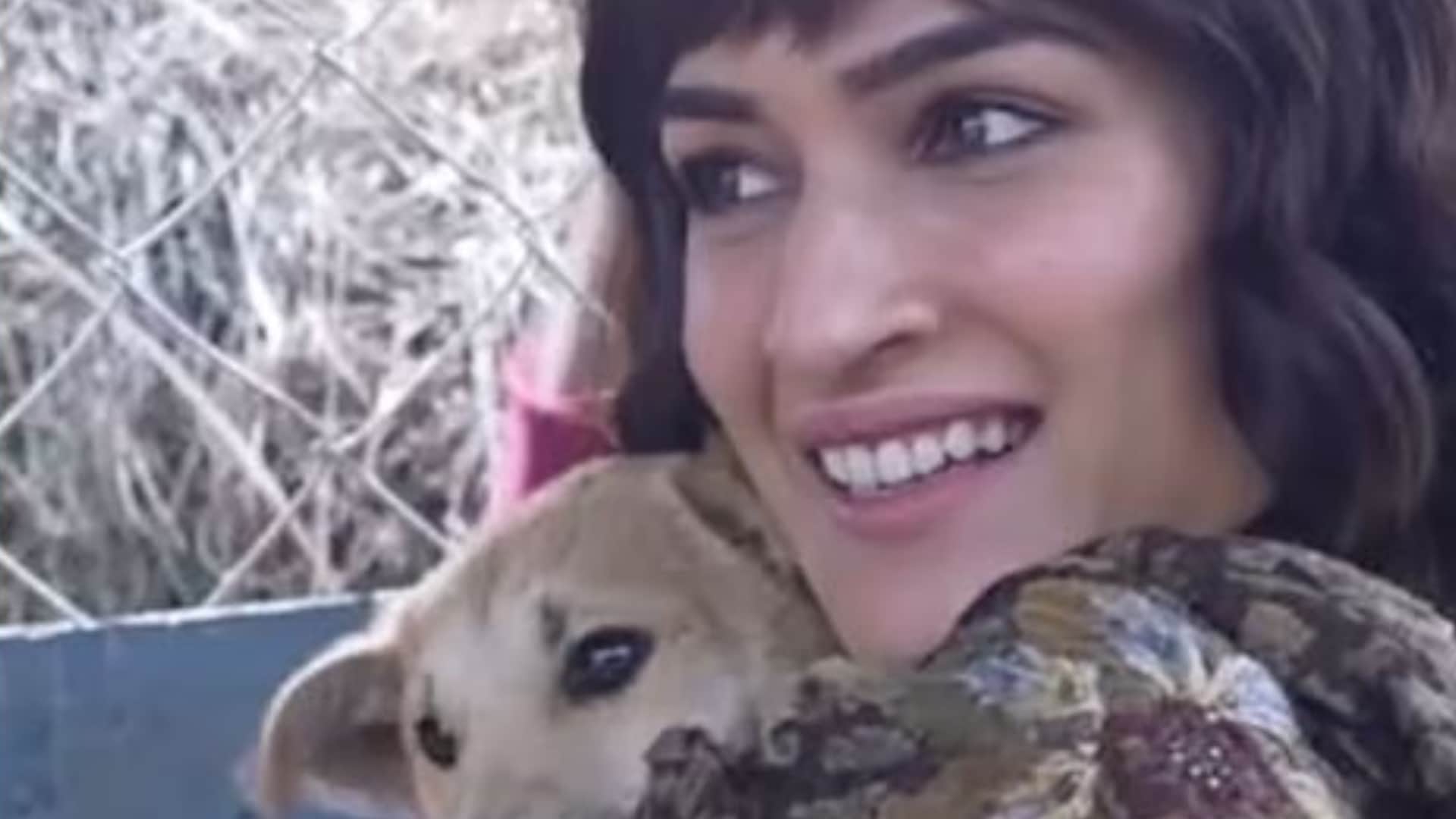 Kriti Sanon Celebrates 2 Years Of Bhediya She Drops A Special Video on story Varun Dhawan Reaction