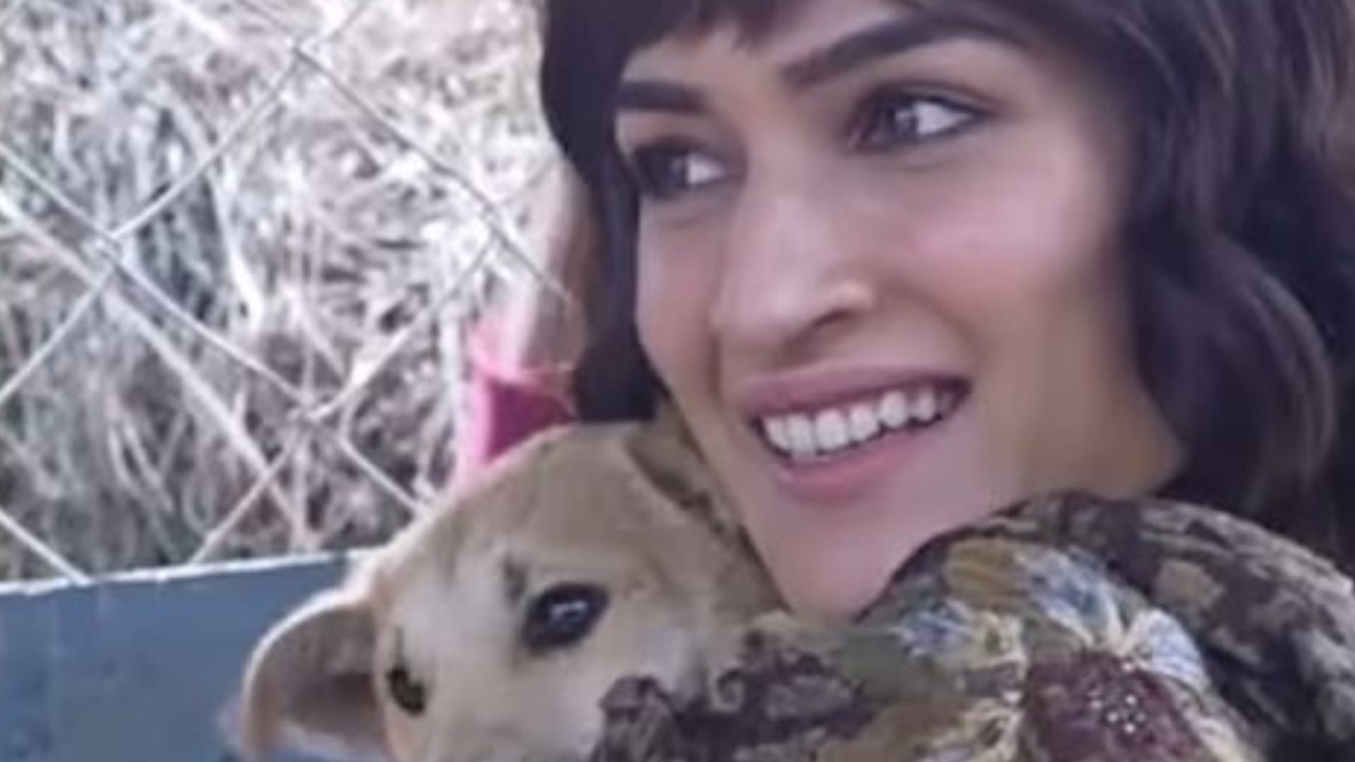 Kriti Sanon Celebrates 2 Years Of Bhediya She Drops A Special Video on story Varun Dhawan Reaction