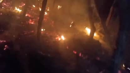 Guna News elderly man lit a bonfire to escape cold was burnt alive in hut skeleton found