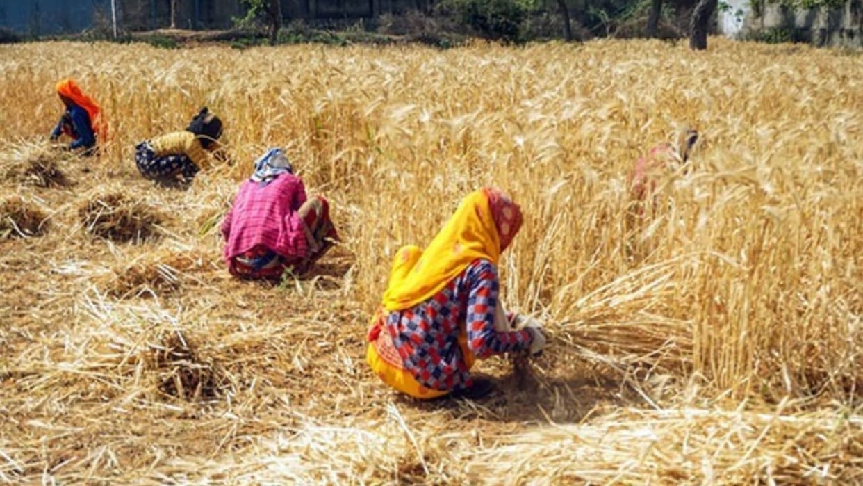 Report 46 percent Indian people involved in agriculture then only 18 percent share in GDP poor conditions