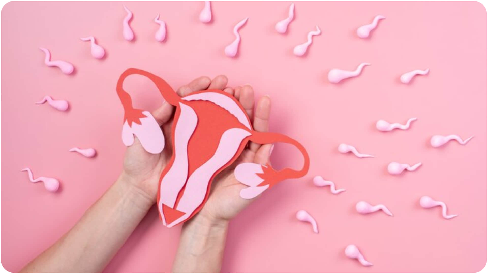 Why PCOS is Rising in Women: Understanding the Root Causes and Lifestyle Links