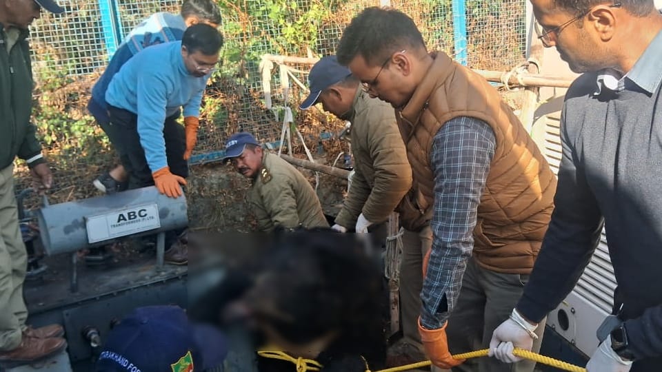 Chamoli News female bear and her cub Died after got hit by transformer of sewer treatment plant