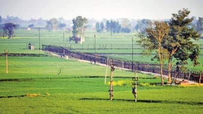Pakistani intruder arrested near international border Punjab