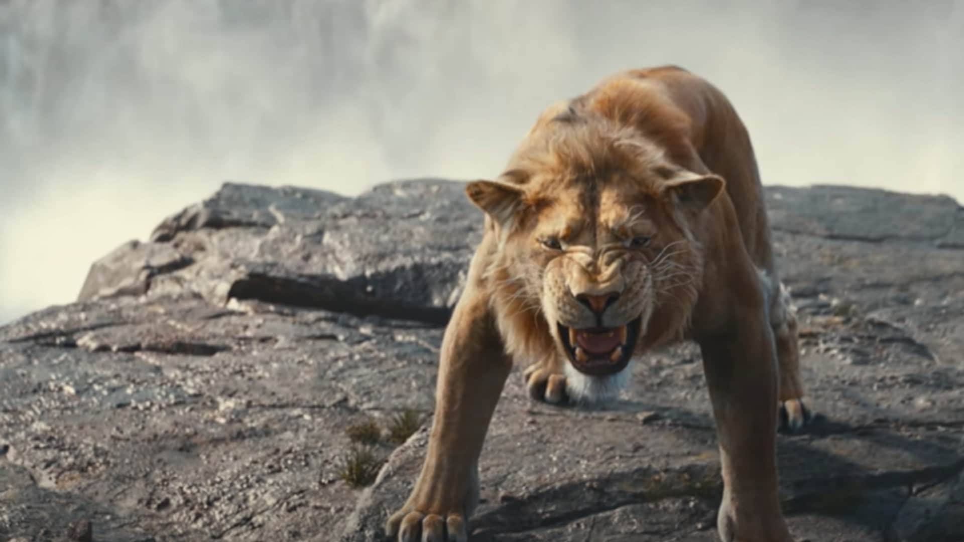 Mufasa Box Office Collection Day 4 know shah rukh khan shreyas talpade dubbing movie earning in hindi version