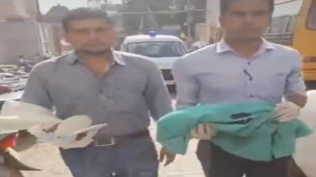 Pali News Mamta is embarrassed newborn found dead in bushes this is being told reason