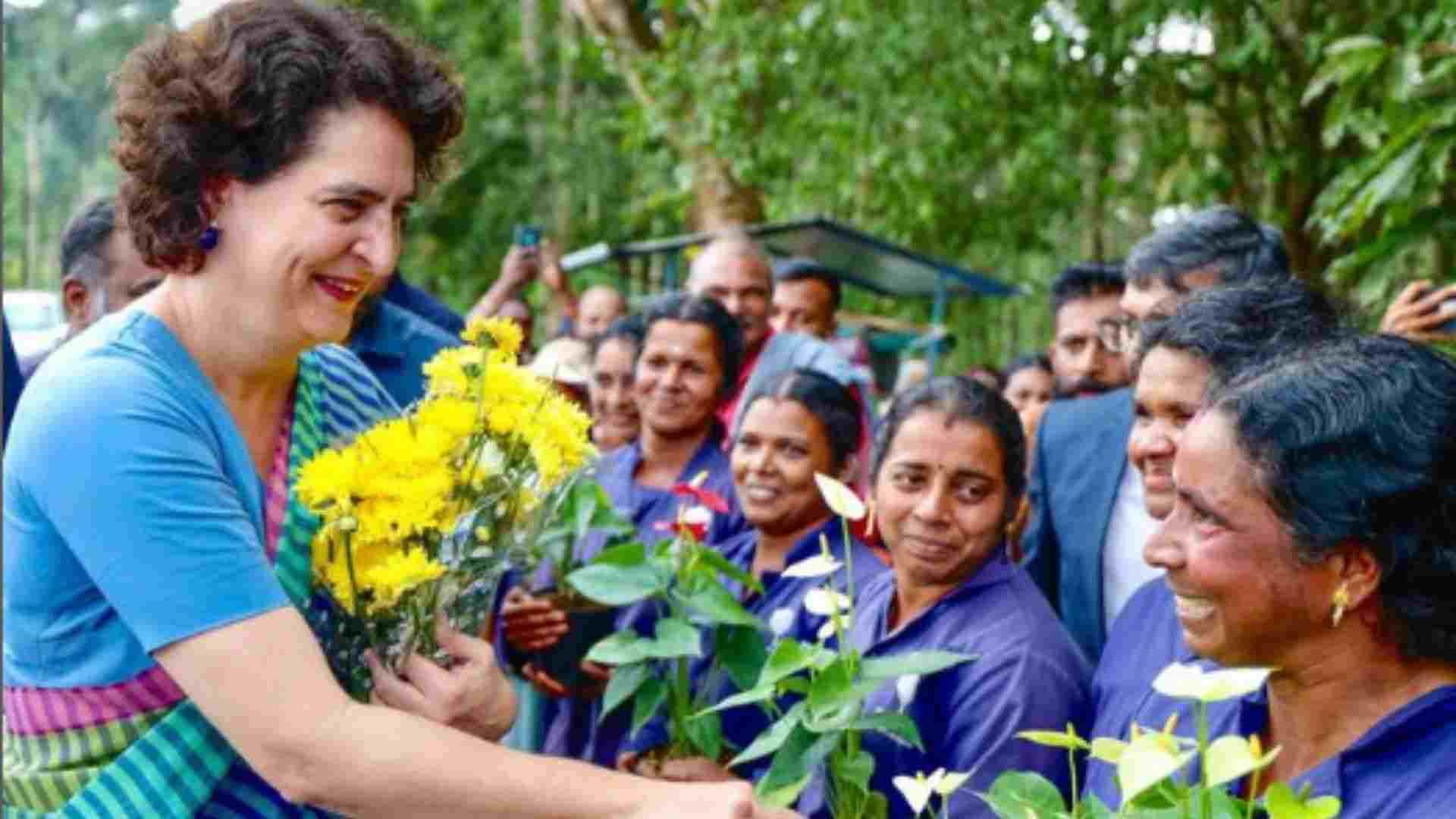 Educational Qualifications of Rahul Gandhi and Priyanka; Which degrees Helped Their Careers, Read here