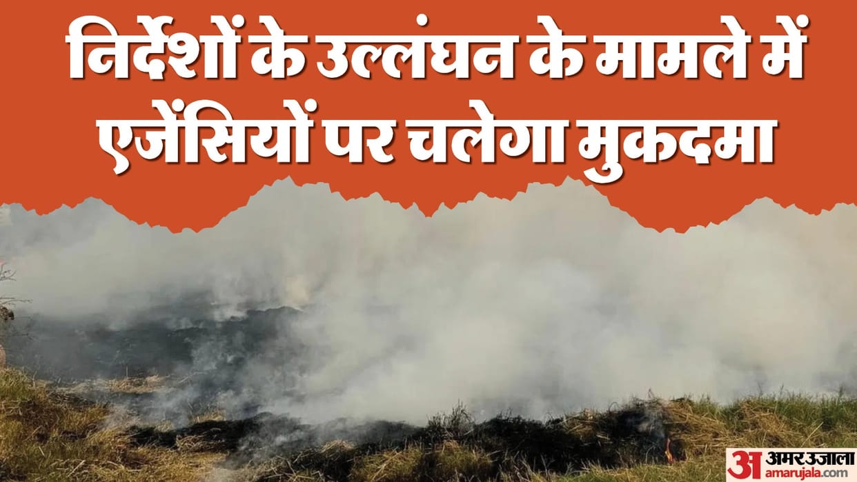 More stubble is burning in Punjab than in Haryana