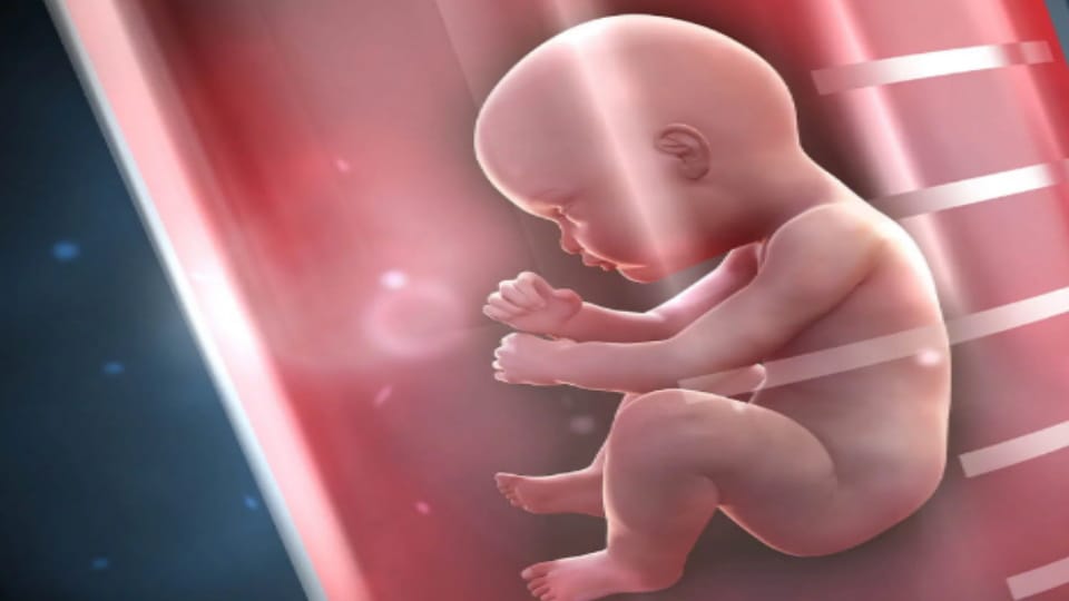 Sensation created by discovery of eight month old foetus in Takhatpur