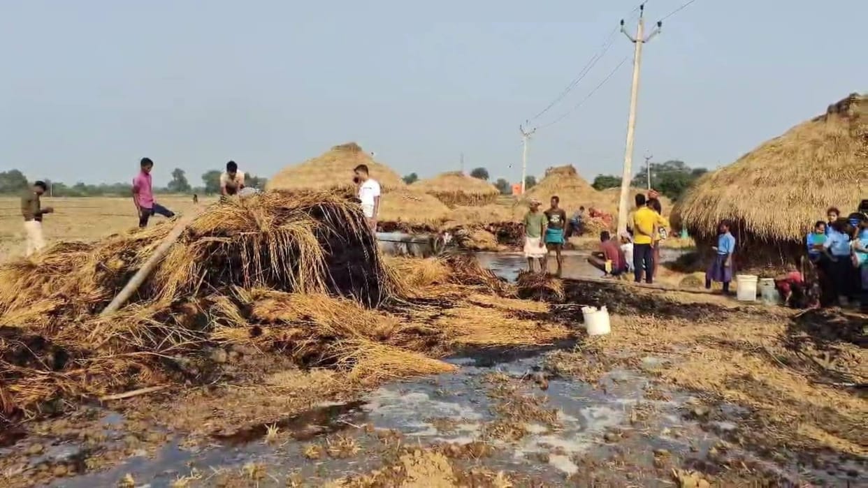 Bihar News 19 bigha paddy crop burnt in Nalanda heap was made in village 10 farmers suffered losses