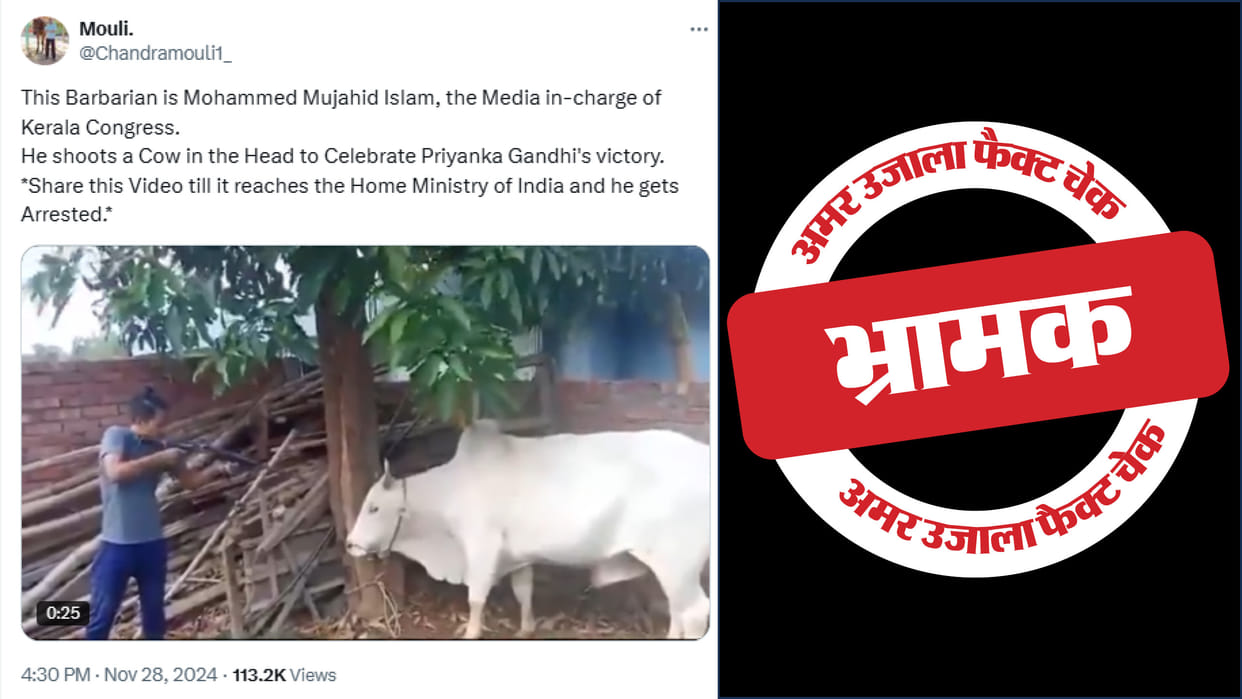 shooting a cow is not of Kerala Congress's media in-charge priyanka gandhi