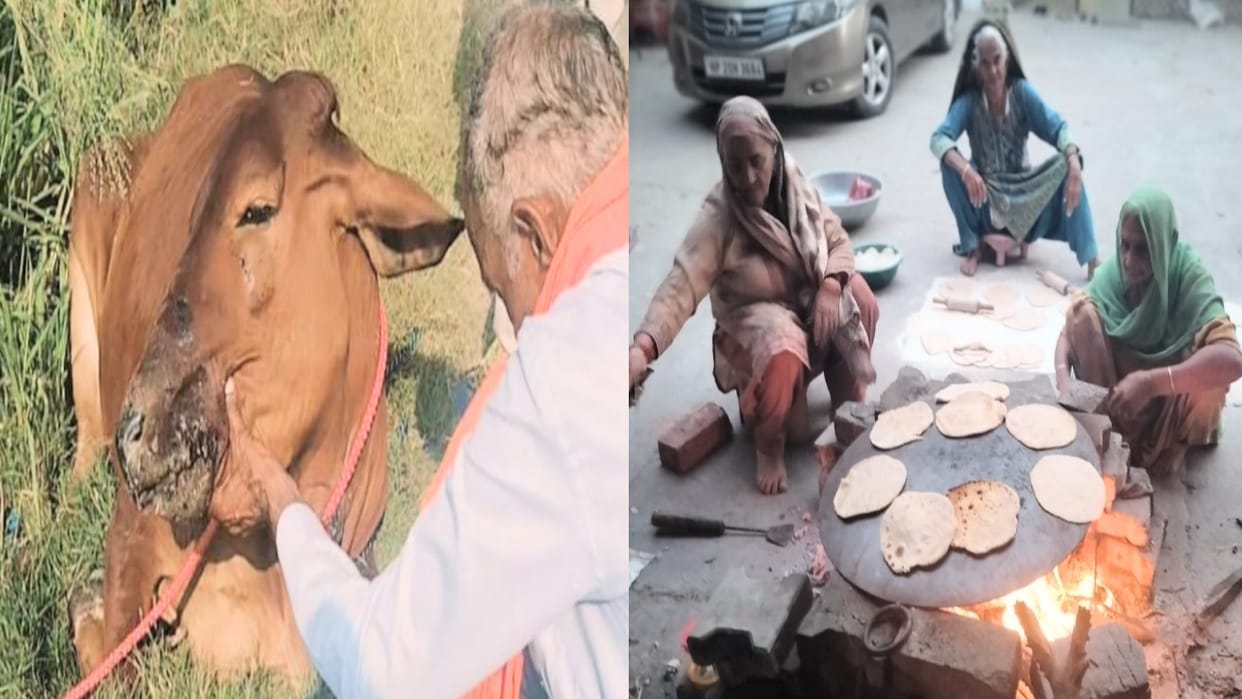 Mintu Lambardar has been selflessly serving injured animals for the last five years