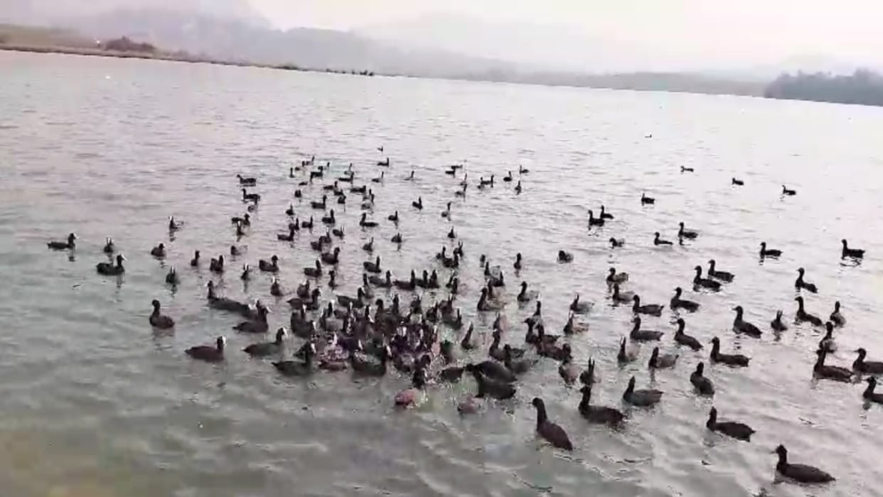 Udhaila Lake will be developed as attractive eco-tourism spot with 3.81 crore in Milkipur of Ayodhya