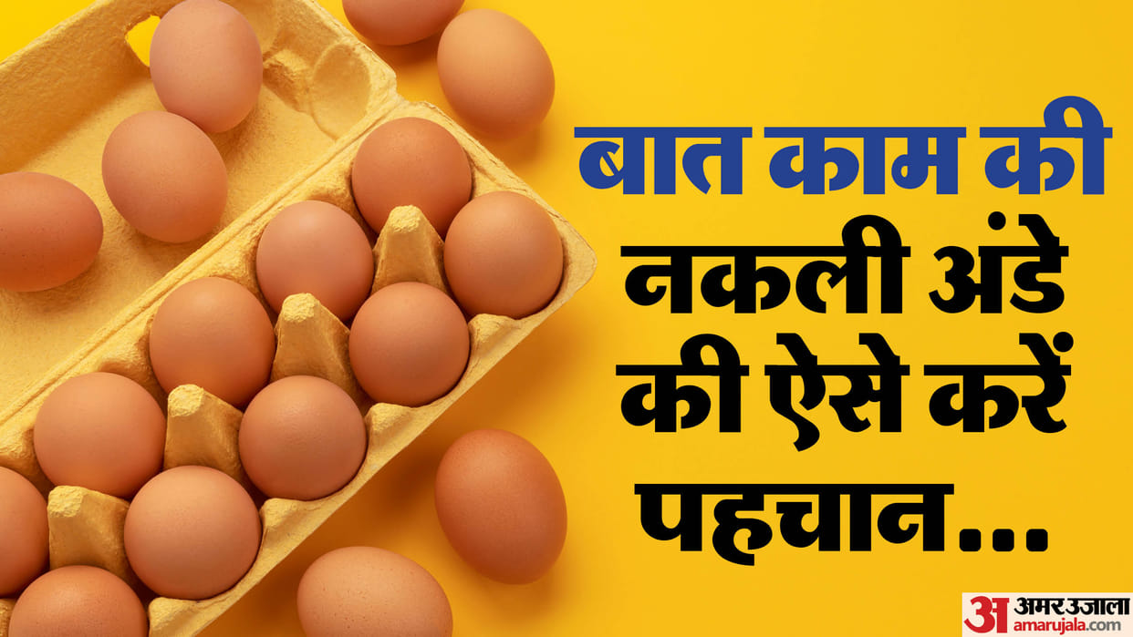 How To Identify Plastic and Fake Eggs plastic egg ki pehchan kaise kare
