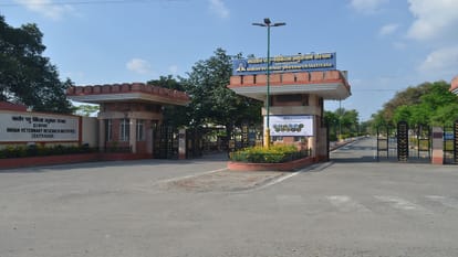 IVRI Bareilly