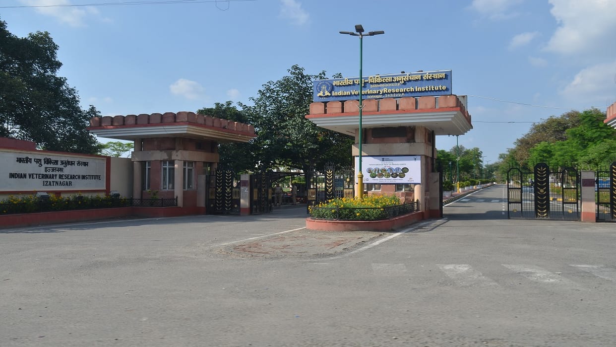 Treatment of hernia in animals begins with bioactive mesh in IVRI Bareilly