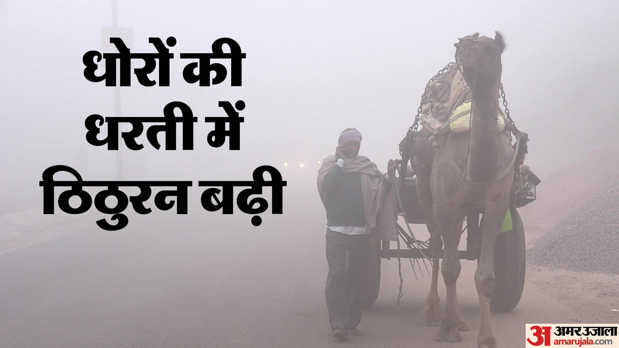Rajasthan Weather Today: Cold increased in Rajasthan due to north wind