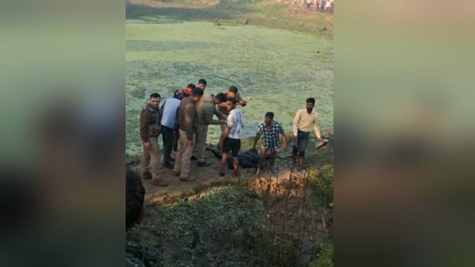 Bijnor: Body of a person found in a pond, was missing for eight days, family members suspect murder