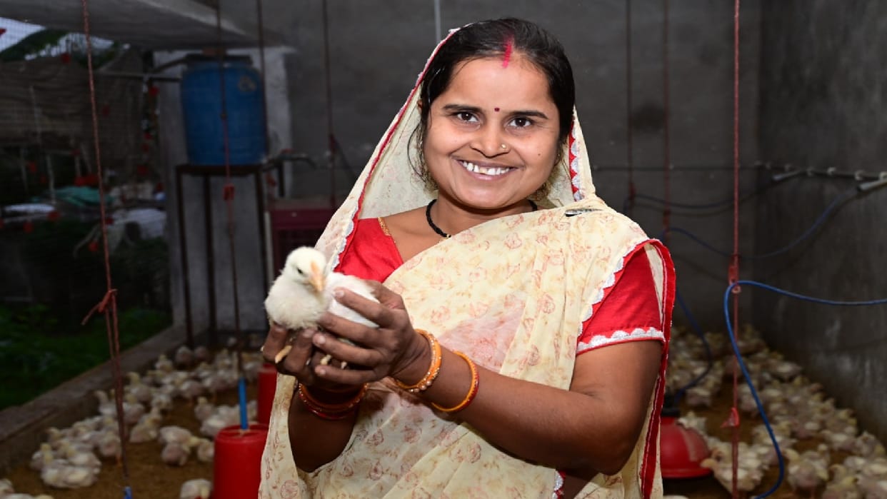 Chhattisgarh women earning lakhs of rupees annually by poultry farming