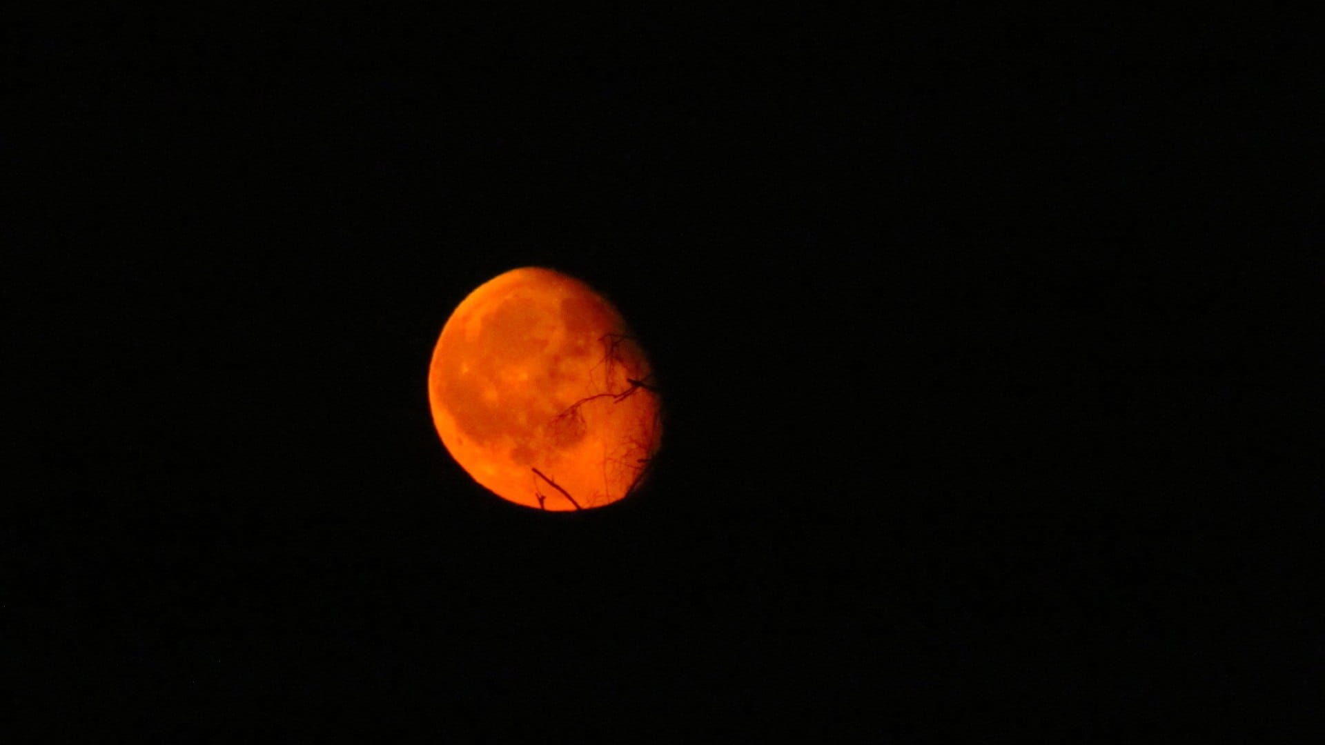Chandra Grahan End Timing Today Grahan Kab Khatam Hoga Samay Check Lunar Eclipse End Time