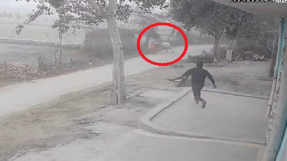 Bull Attack in Azamgarh women dies on Mother Day many bones broken