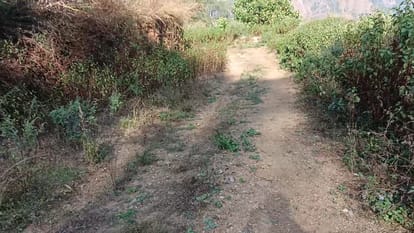 Uttarakhand migration Malan and Mitda villages story is not different from Vinod Kapri film Pyar Haldwani News