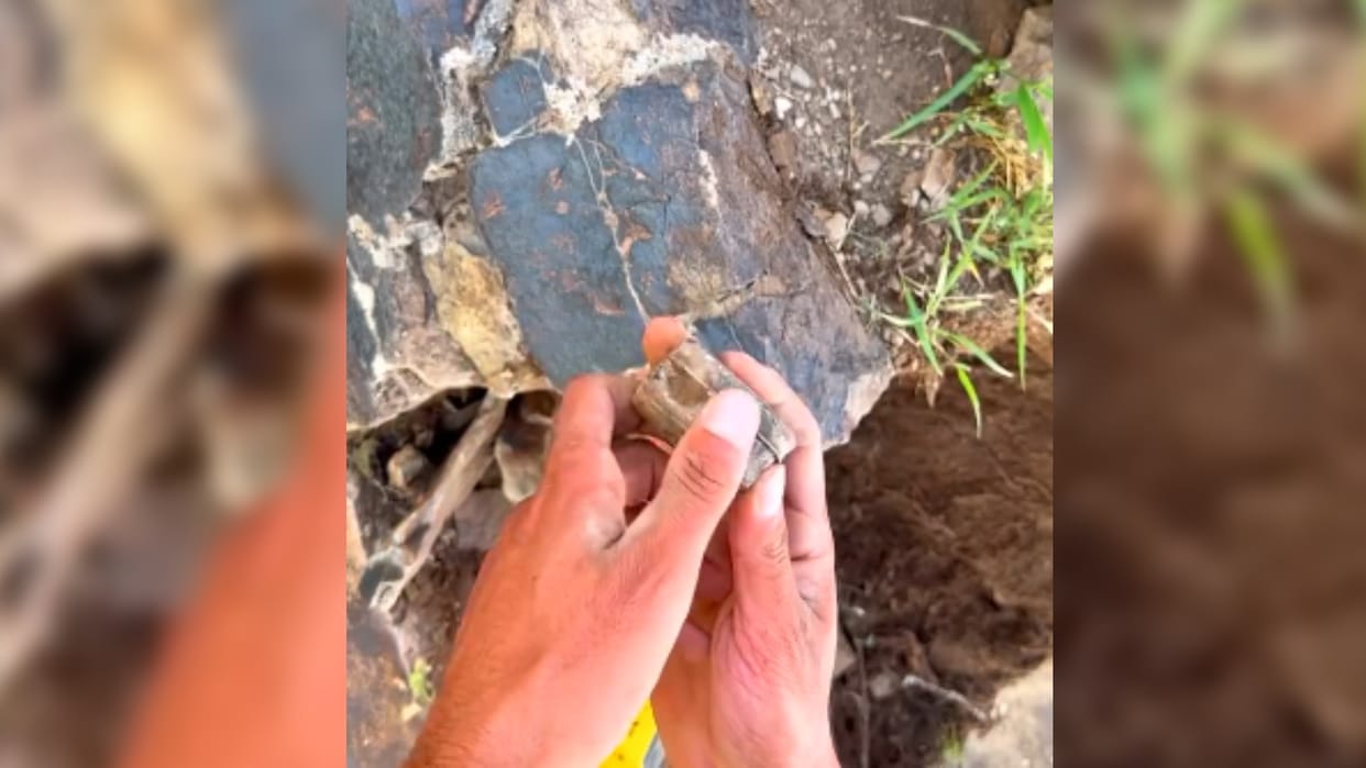 Ajab-Gajab Man Breaks Rock To Look For Hidden Treasure, Here’s What Happens Next