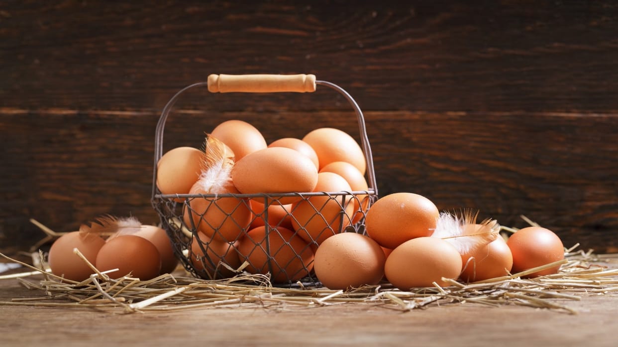 CARI increased the prices of eggs as the cold increased.