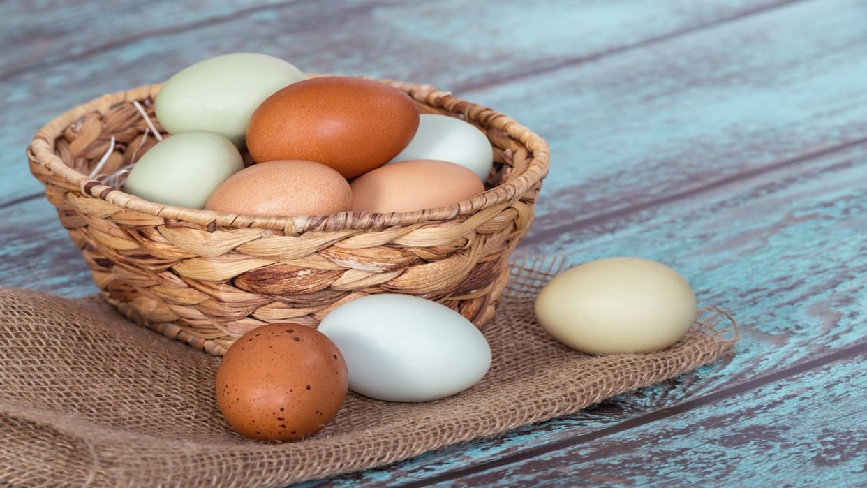why eggs are good for health nutrition and health facts about eggs