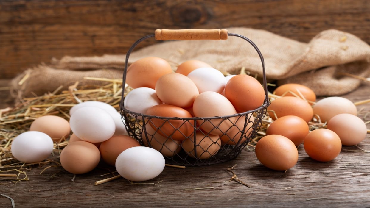 How To Check Egg Is Original Or Not